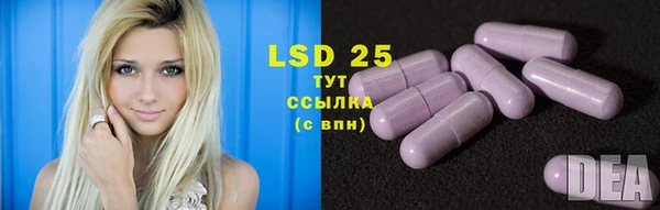 spice Абаза