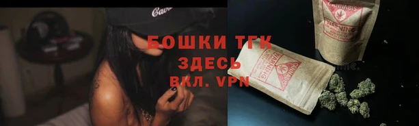 spice Абаза