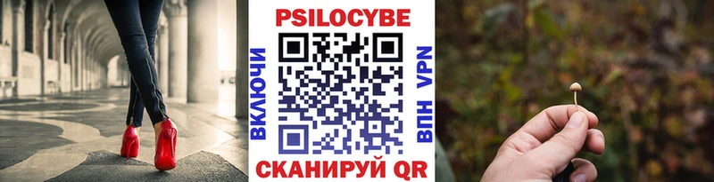 нарко площадка как зайти  Терек  Галлюциногенные грибы мухоморы 